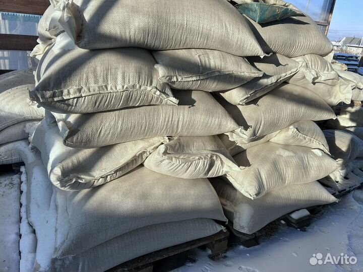 Пшеница зерно