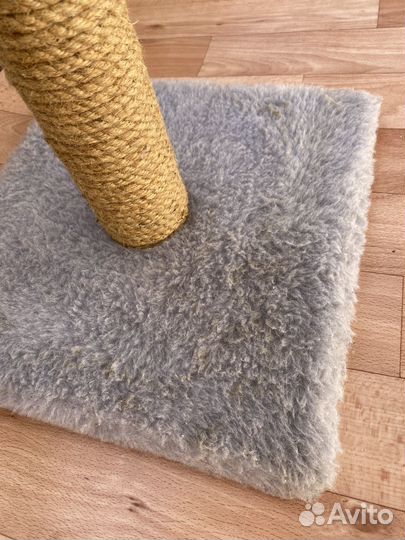 Когтеточка для кошки