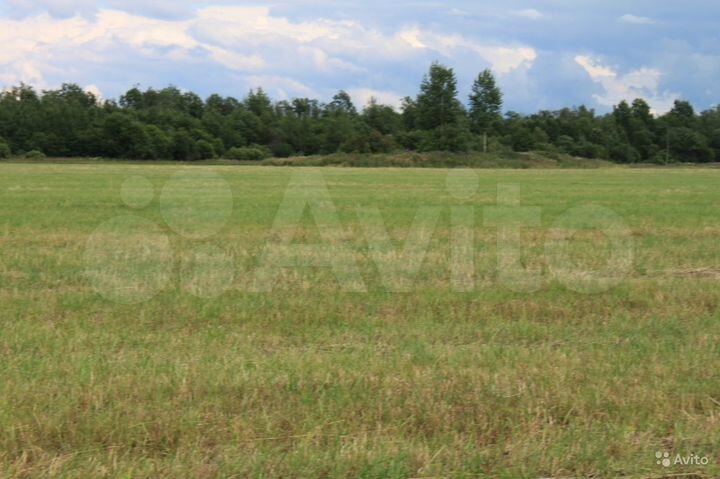 Участок 5 га (СНТ, ДНП)