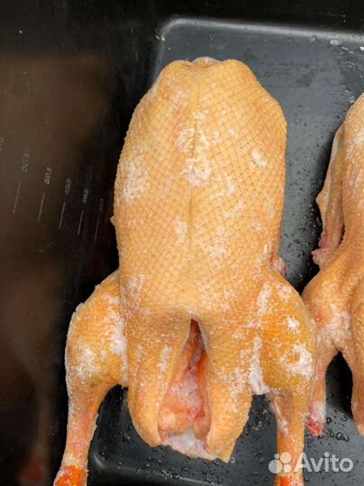 Мясо индоутки,гуся