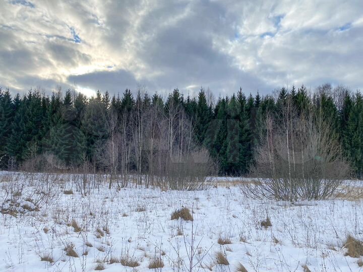 Участок 20 сот. (ИЖС)