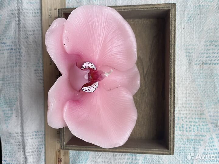 Куклы, Пупс ГДР, Ярославская майолика