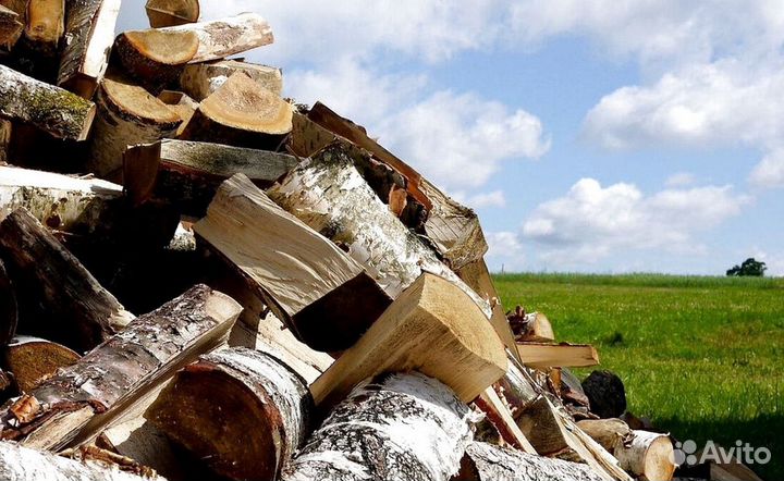 Дрова без жучков