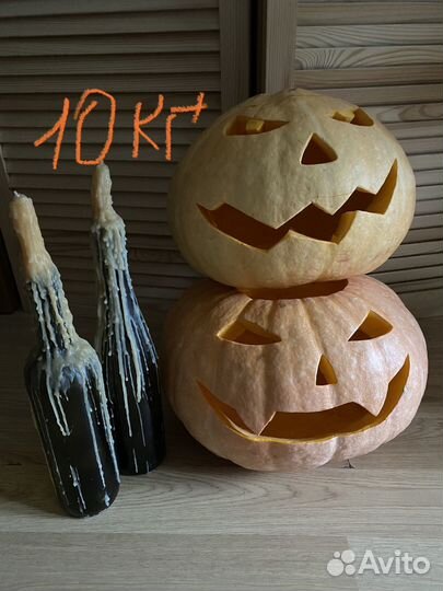 Тыква на хэллоуин