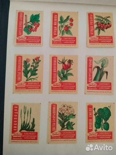 Коллекционные спичечные этикетка