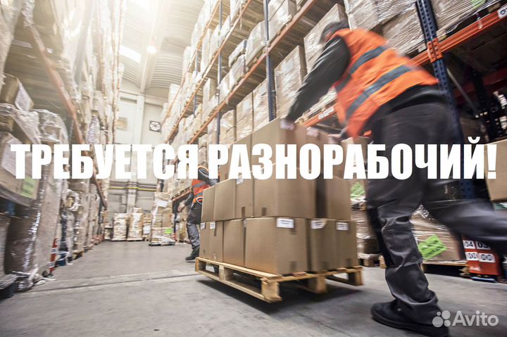 Рабочий/Разнорабочий