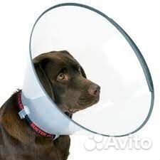 Воротник для собак