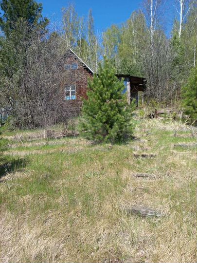 Участок 7 сот. (СНТ, ДНП)