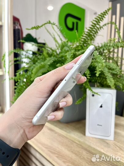 iPhone 8, 64 ГБ