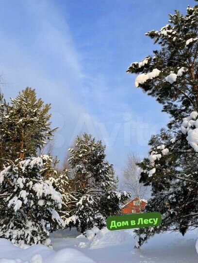 Дача 35 м² на участке 2 га