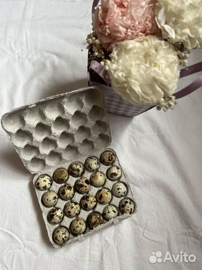 Перепелиные яйца