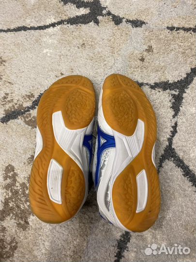 Кроссовки для настольного тенниса mizuno