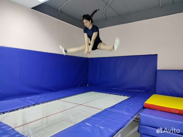 Спорт