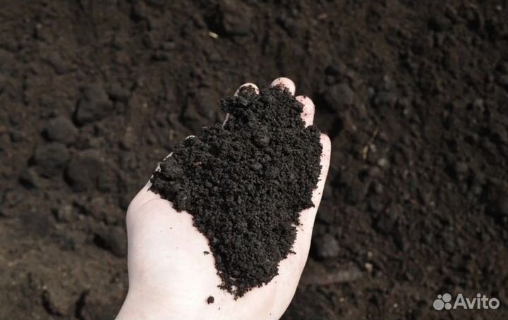Плодородный грунт для газонов и грядок