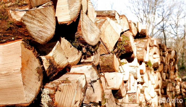 Дрова которые разгораются