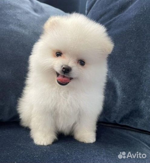 Резерв на снежков