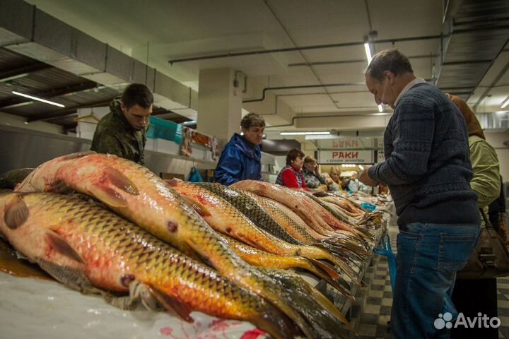 В продаже рыбный магазин Море Вкуса