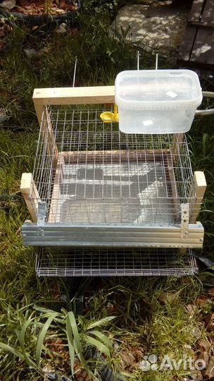 Клетки для кур, цыплят, перепелов