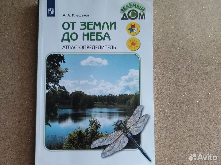 Школьные книги