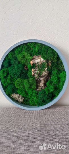 Картина из мха