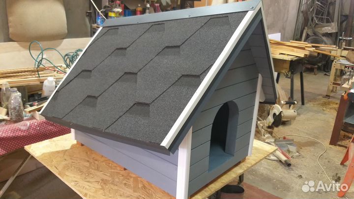 Собачья будка