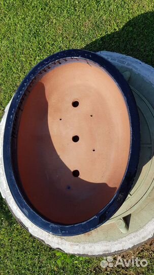 Горшок для бонсай