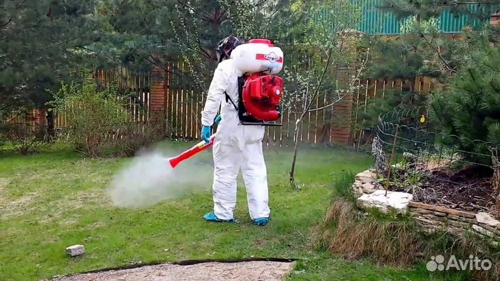 Уничтожение клопов/слизней/короеда/комаров/ос/мух