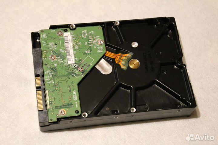 HDD WD 3.5