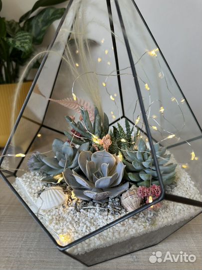 Флорариум с суккулентами