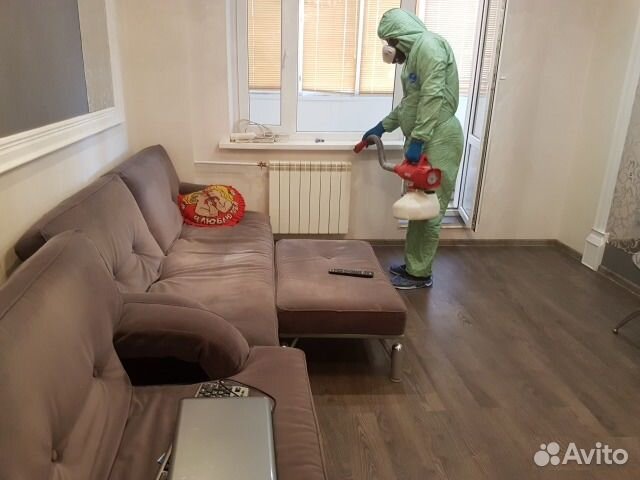 Уничтожение клопов, тараканов и других насекомых