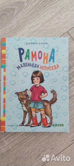 Книга Рамона