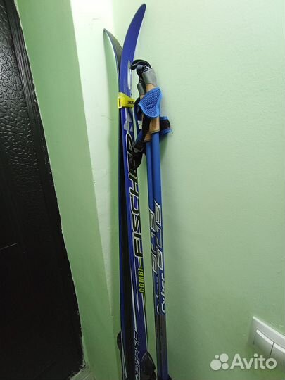 Беговые лыжи fischer carbonlite