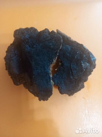 Березовый гриб чага