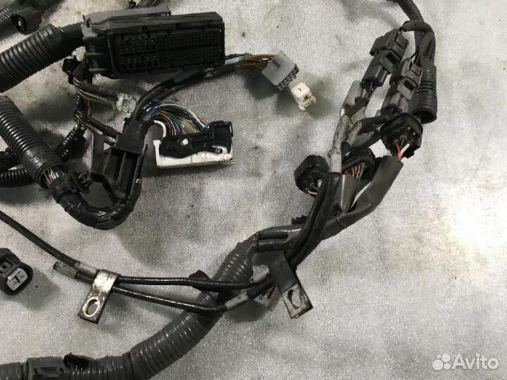 Проводка (коса) Lexus Is 250/350 седан 2adfhv