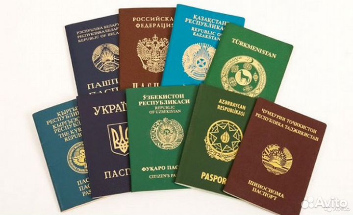 Миграционный юрист