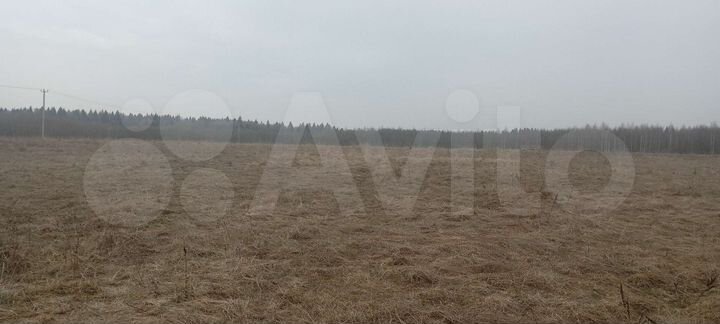 Участок 10 сот. (ИЖС)