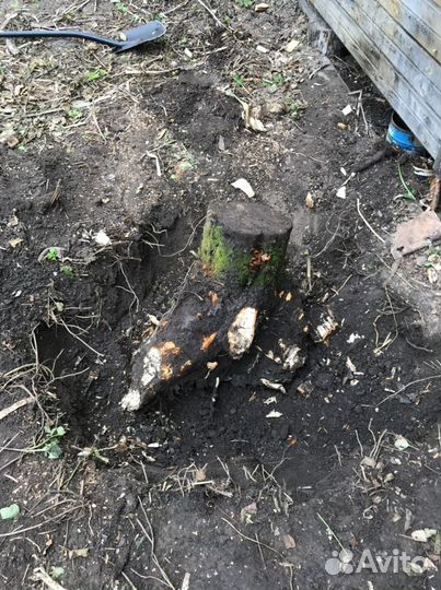 Корчевание пней