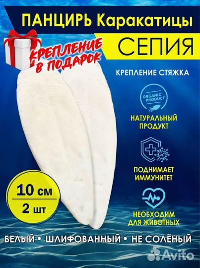 Минеральный камень, сепия, панцирь каракатицы