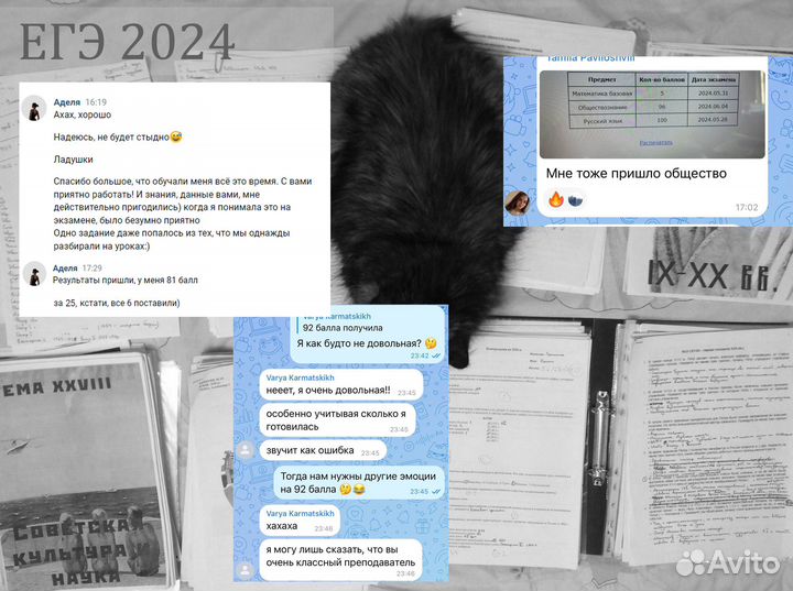 Подготовка к ОГЭ/ЕГЭ по обществознанию и истории