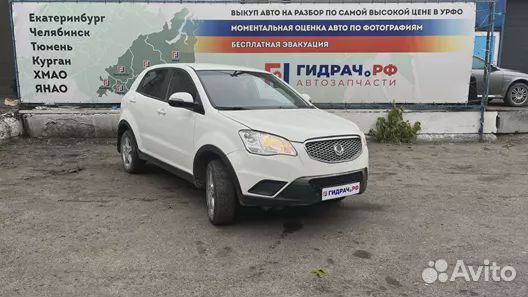 Проводка двери передней правой Ssang Yong Actyon New 8270234042