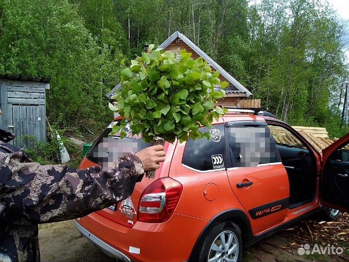 Веники для бани