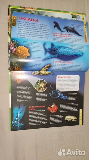 Детская энциклопедия, детская книга