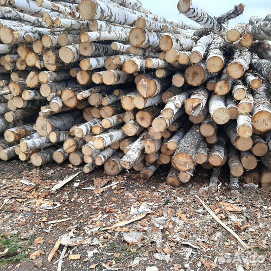 Сухие дрова