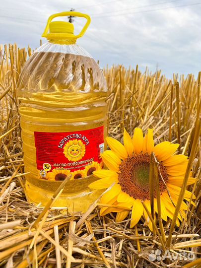 Масло подсолнечное оптом от завода