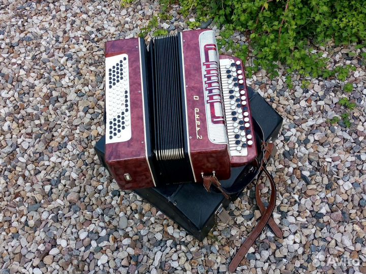 Баян Огонёк 2