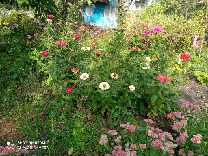 Участок 13,5 сот. (ИЖС)