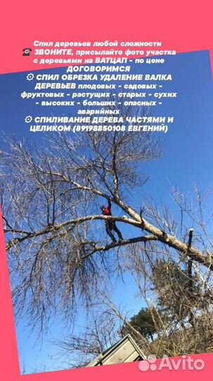Спил деревьев кронирование стрижка, покос травы