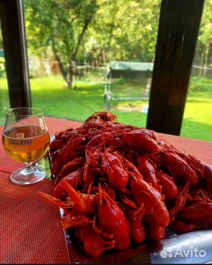Раки живые и вареные
