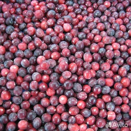 Ягода замороженная