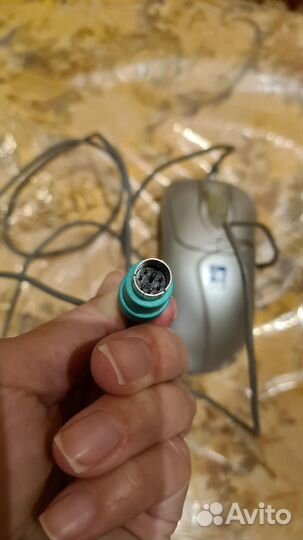 Мышка для компьютера